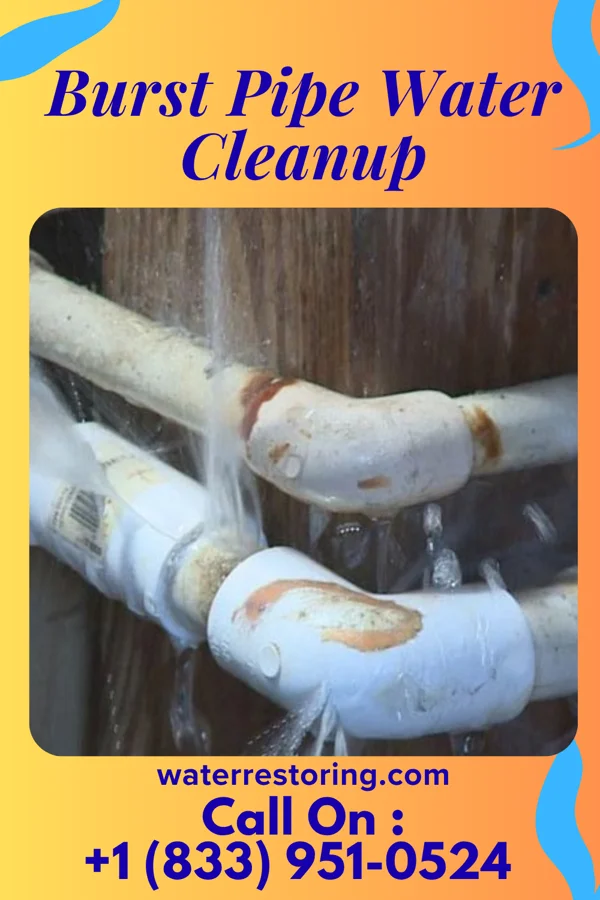 Burst Pipe Water Cleanup in Audubon, NJ