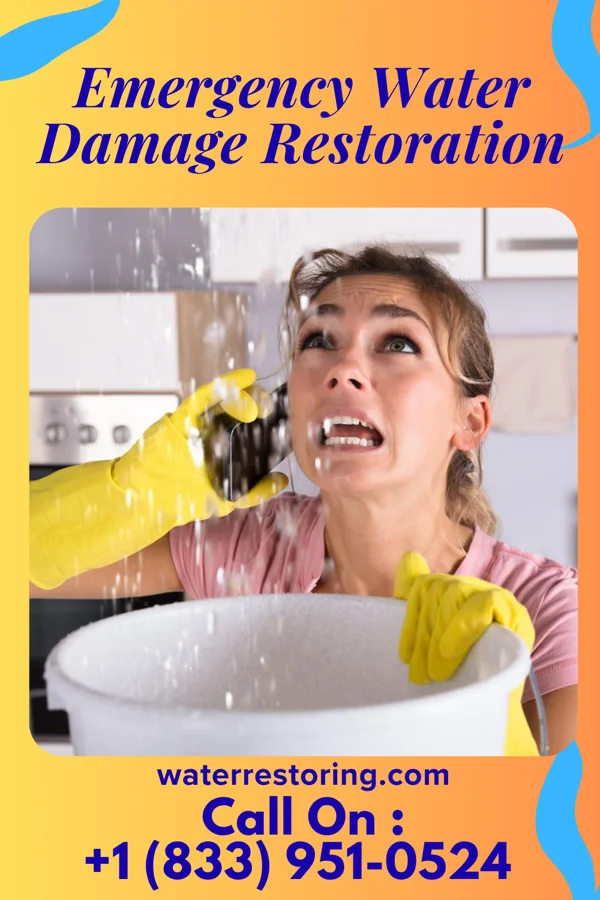 Emergency Water Damage Restoration in Audubon, NJ