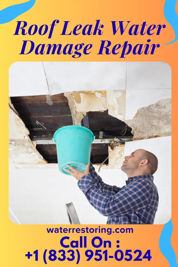 Roof Leak Water Damage Repair in Audubon, NJ