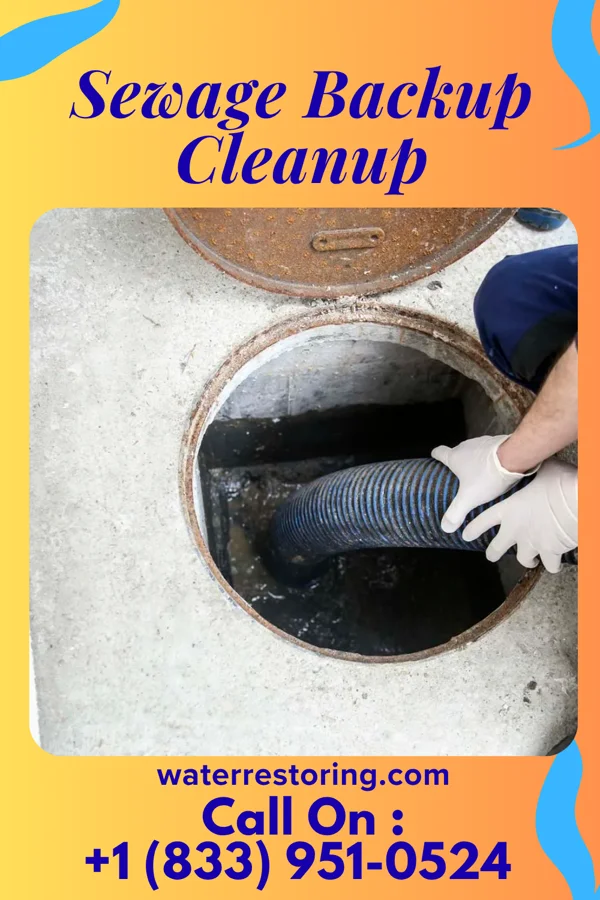 Sewage Backup Cleanup in Audubon, NJ