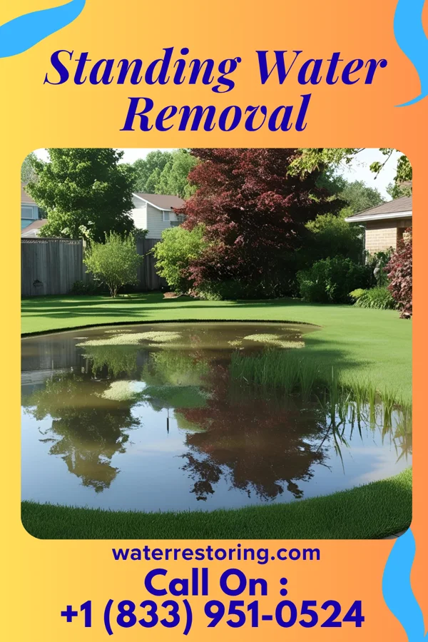 Standing Water Removal in Audubon, NJ